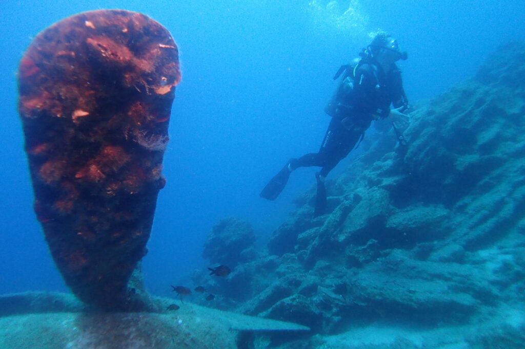 Bild eines Gerätetauchers um Ozean.