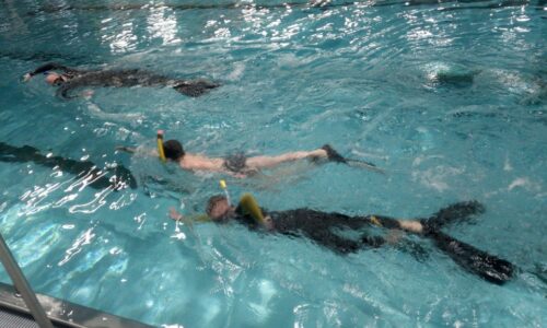 training-beatusbad-schnorchler Bild von Personen beim Schnorcheltraining.