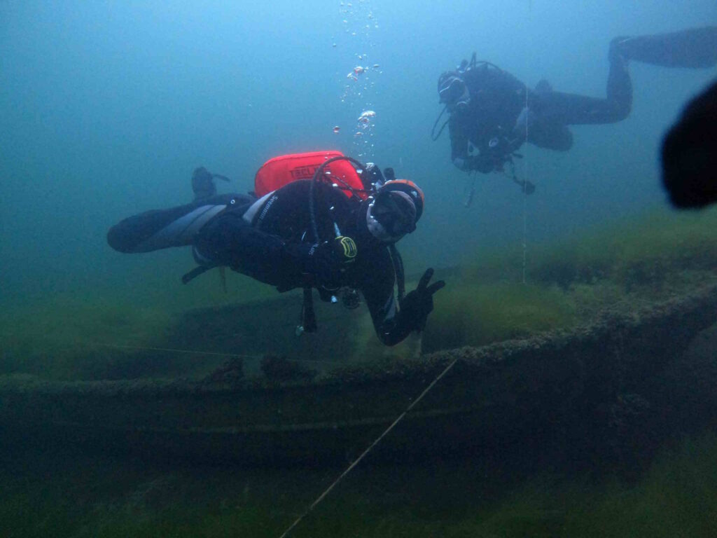 Bild mehrerer Tauchen unter Wasser.