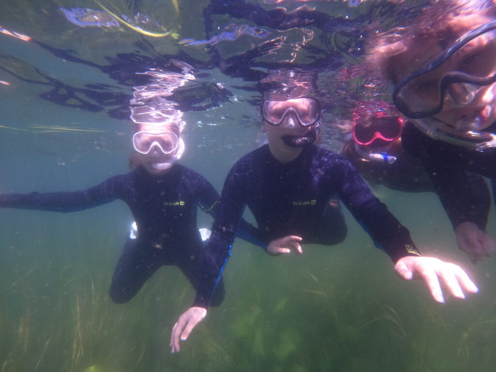 Bild mehrerer Kinder beim Schnorcheln im See.