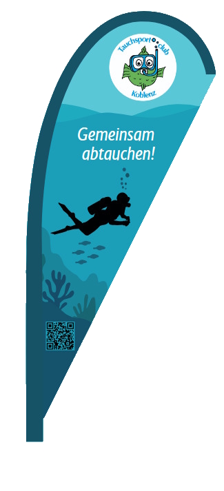 Bild der Beachflag des Tauchsportclub Koblenz
