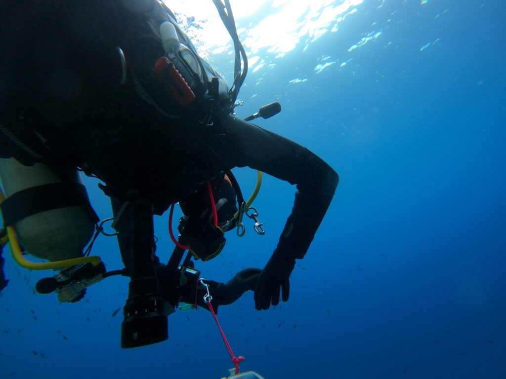 Bild eines Tauchers im Freiwasser von unten.