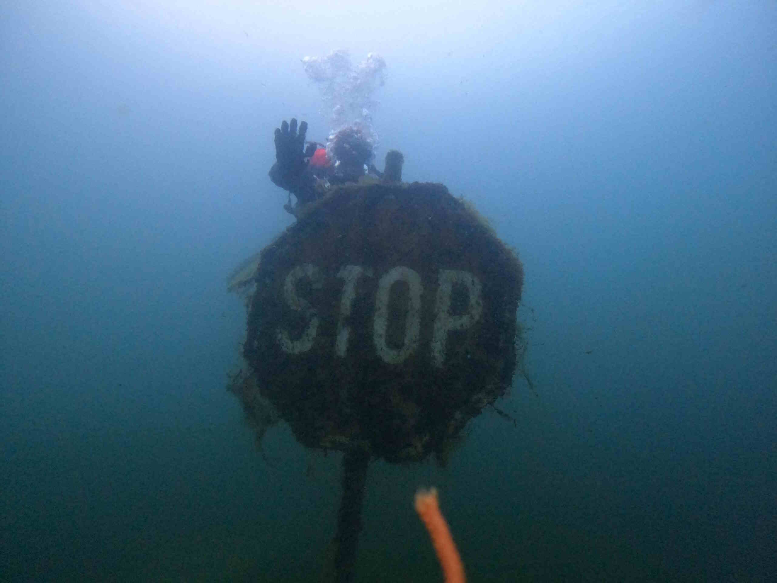 Bild eines Taucher unter Wasser hinter einem mit Algen verwachsenen Stoppschildes.