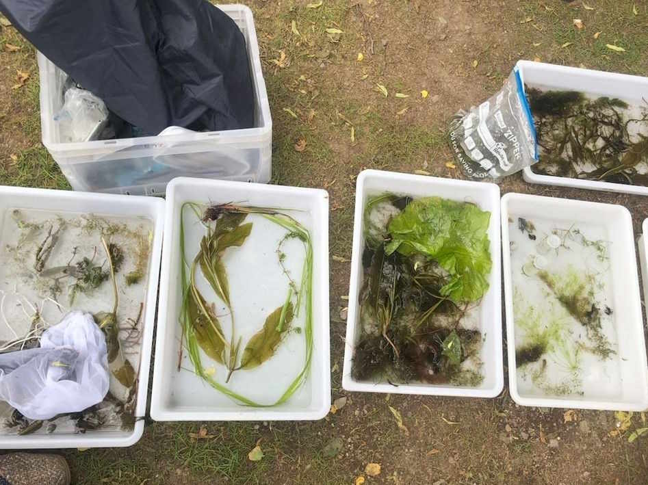 SK Süßwasserbiologie Maria Laach 2026
